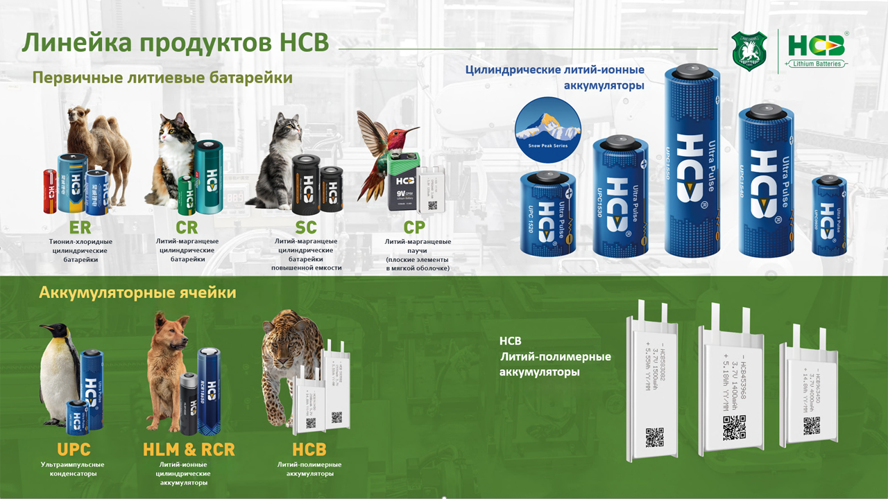 Рис. 2. Номенклатура HCB