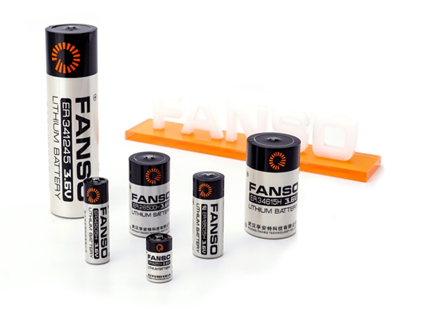 Рис. 2. Внешний вид батареек бобинной конструкции FANSO EVE Energy