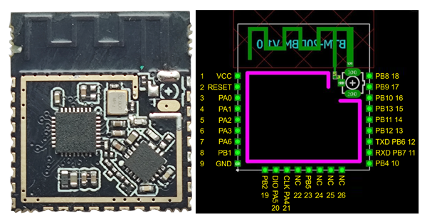 Рис. 1. Внешний вид и расположение выводов BTM-20DBM
